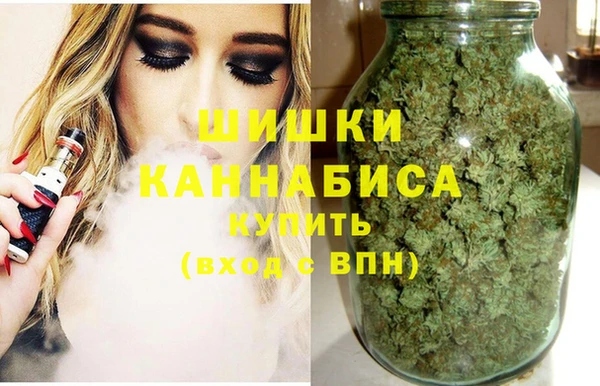 трава Бронницы