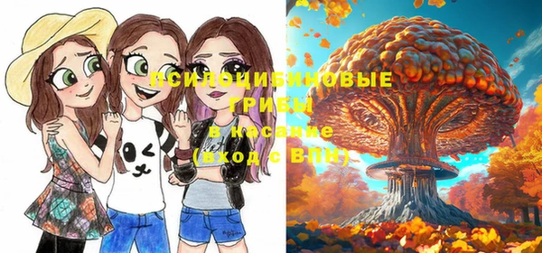 трава Бронницы