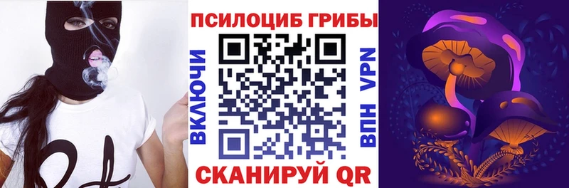 где купить   Грозный  Галлюциногенные грибы MAGIC MUSHROOMS 